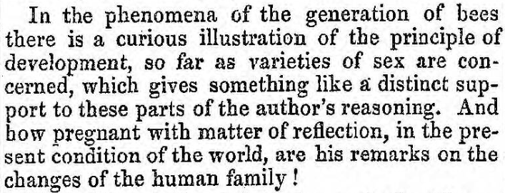 Original Newspaper Clipping